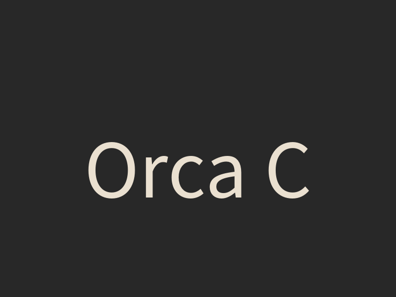 Orca CLI 怎麼管理多個 AI agent？先看 worktree 與 review queue